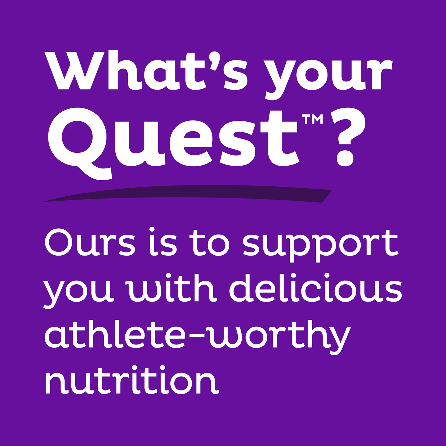 double-chocolate-chunk-protein-bars-f1 qst-000241_double-chocolate-chunk-protein-bars_9.png